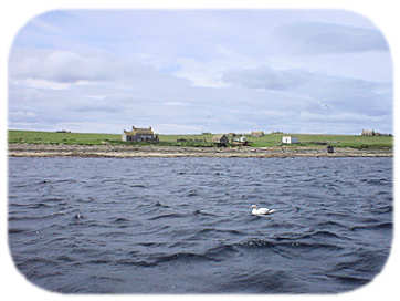 Stroma